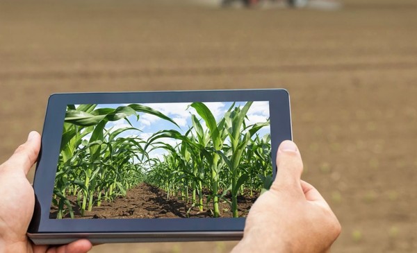 UGR forma talentos para el nuevo agro digital
