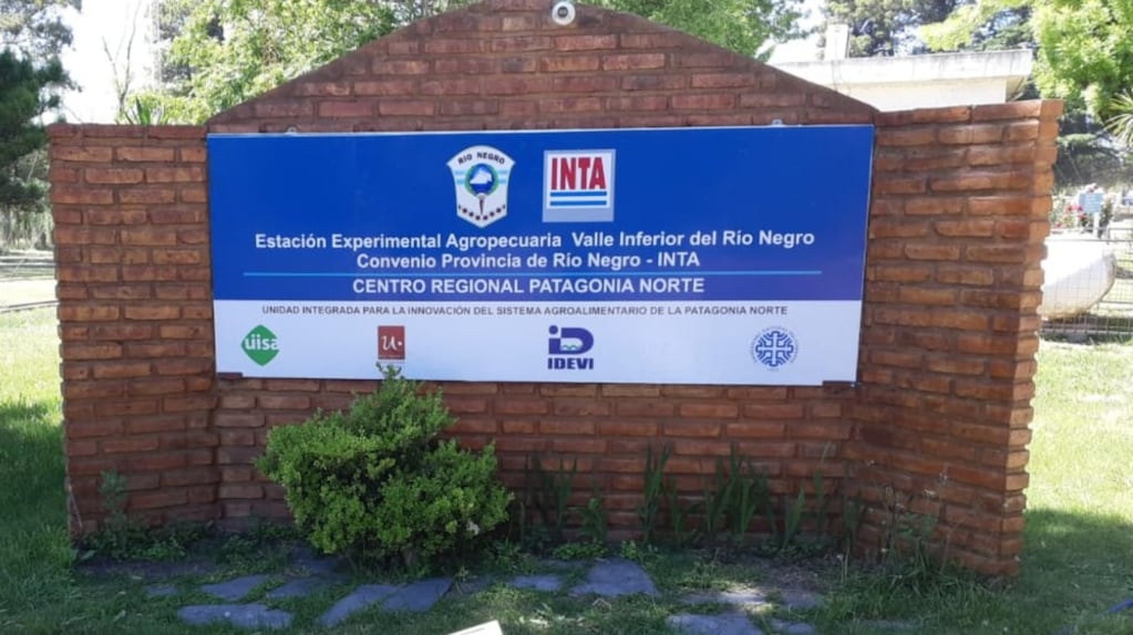 Achique en el INTA: se confirmaron 757 retiros voluntarios para reducir un 20% la planta de personal 1 Achique en el INTA: se confirmaron 757 retiros voluntarios para reducir un 20% la planta de personal