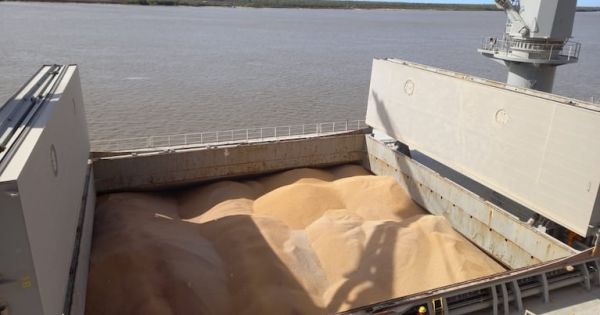 Dólares del campo: el agro podría aportar US$ 37.000 millones en 2026 1 Dólares del campo: el agro podría aportar US$ 37.000 millones en 2026