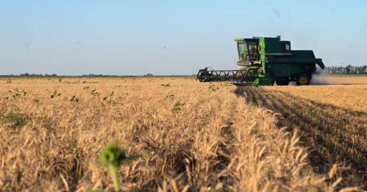 Retenciones al campo: el Gobierno anunció una reducción y definió un esquema de bajas hasta 2028