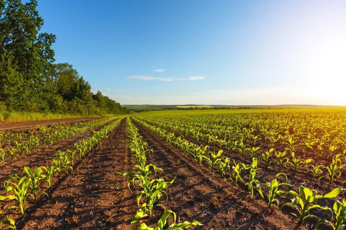 Presidente Kast promete más agua y competitividad al agro 1 Presidente Kast promete más agua y competitividad al agro